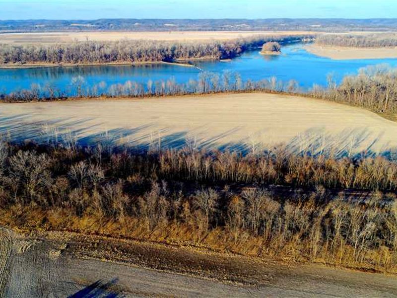 Excellent Producing Property, Farm for Sale in Missouri, 142925