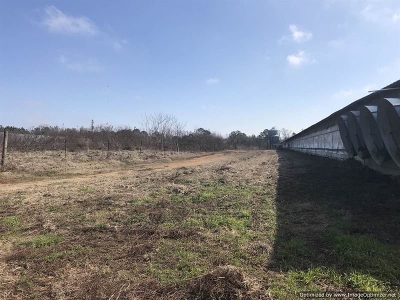 3 House Poultry Farm : Silver Creek : Lawrence County : Mississippi