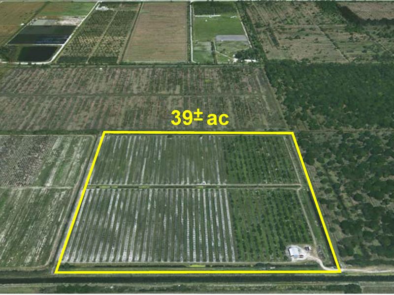 39Ac Secluded Agricultural Land : Fort Pierce : Saint Lucie County : Florida