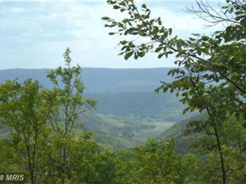 Bluebird Trail : Springfield : Hampshire County : West Virginia