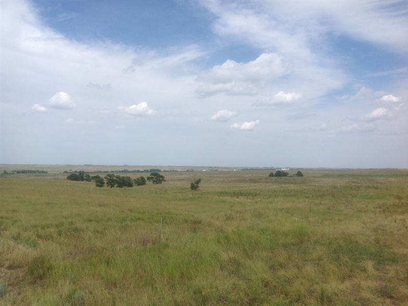 Chappell Dryland and Grass : Chappell : Deuel County : Nebraska