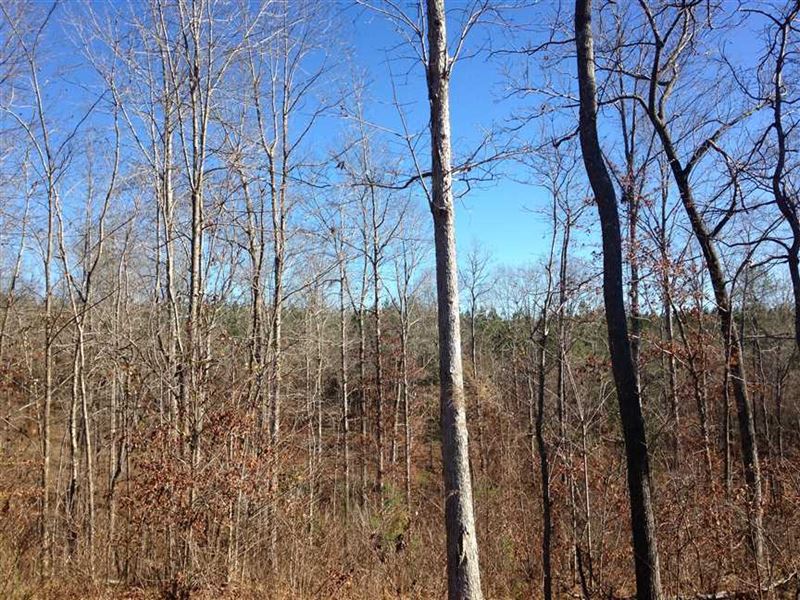 18 Acres with House Site in Ha : Hatley : Monroe County : Mississippi