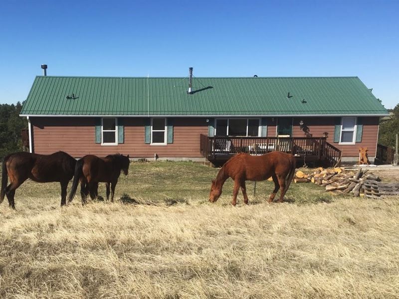 Pine Ridge Country Acreage Farm for Sale in Crawford, Dawes County, Nebraska 143298 FARMFLIP