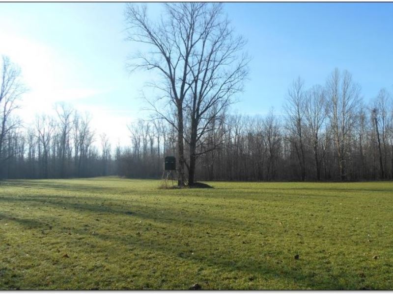 Equity Share in Warren County At WI : Vicksburg : Warren County : Mississippi