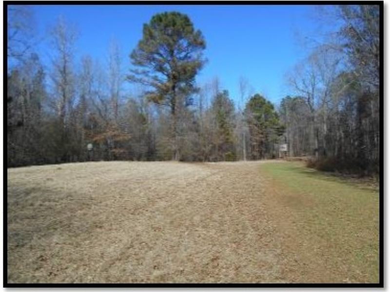120 Acres in Holmes County : Lexington : Holmes County : Mississippi