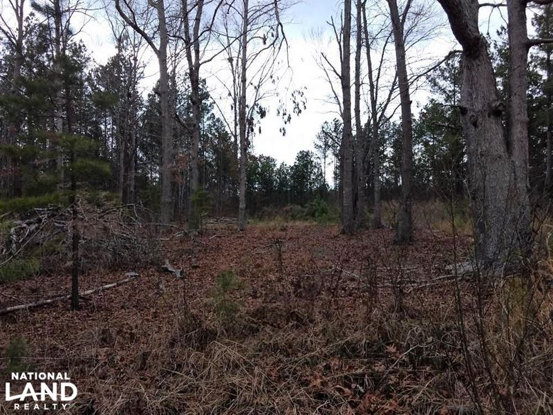 Glendon Land 1, Farm for Sale in North Carolina, 143415 FARMFLIP