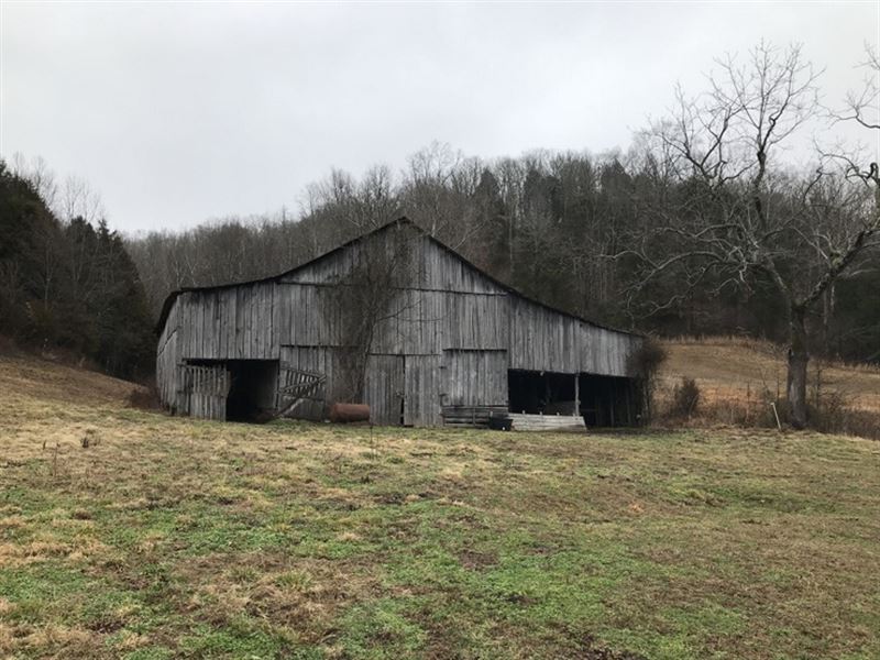 20 Acres In Cumberland County, Ky Farm for Sale in Burkesville