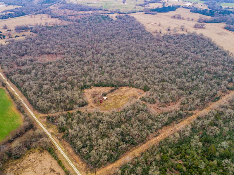 85 Acres In Centerville, Texas Farm for Sale in Centerville, Leon