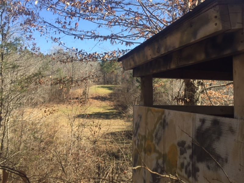 Tract in The Heart Of ster Co, Farm for Sale in Mississippi, 143551