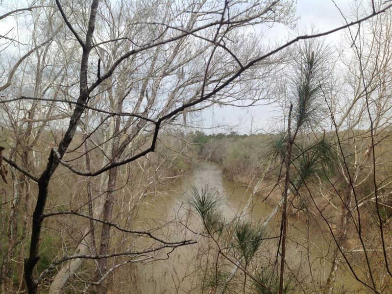 1009 Acres On Cahaba River : Marion Junction : Perry County : Alabama