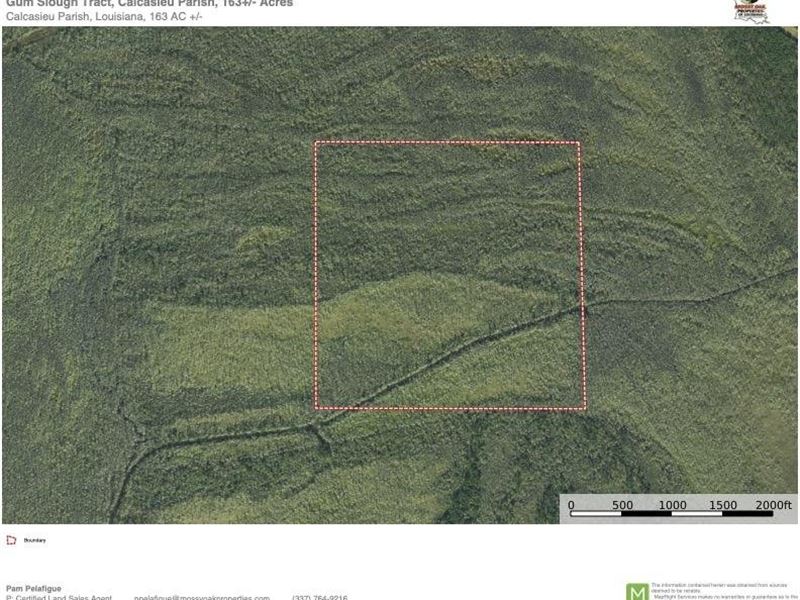 Gum Slough Tract, Calcasieu Parish : Vinton : Calcasieu Parish : Louisiana