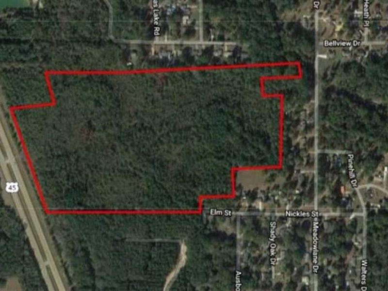 66 Acres with 1000' of Frontage : Aberdeen : Monroe County : Mississippi