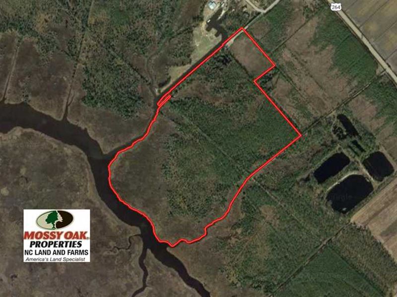 65 Acres of Waterfront Land for Sa, Farm for Sale in North Carolina