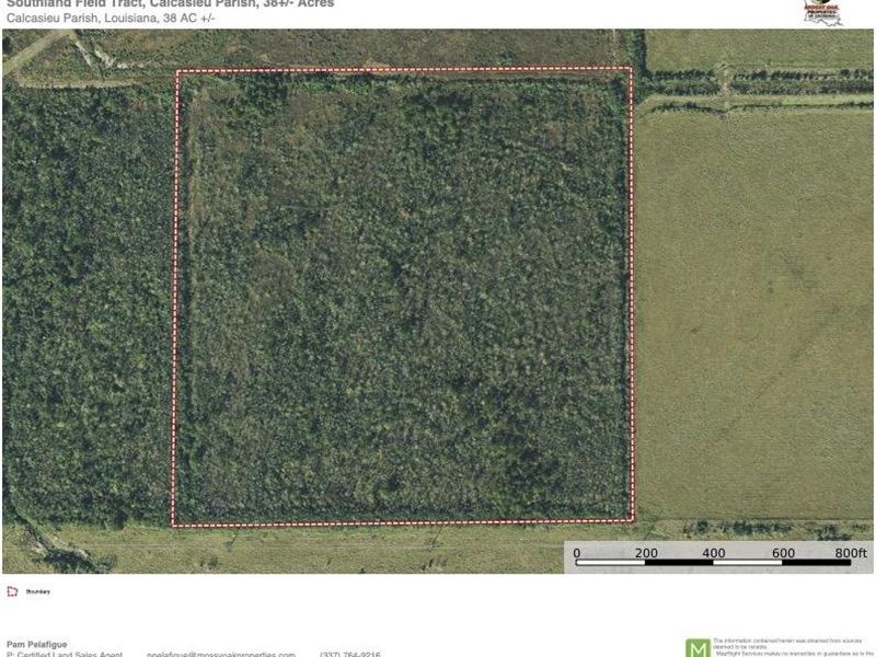 Southland Field Tract, Calcasieu PA : Sulphur : Calcasieu Parish : Louisiana
