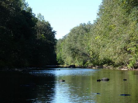 9.17 Acres On Hatchet Creek : Rockford : Coosa County : Alabama