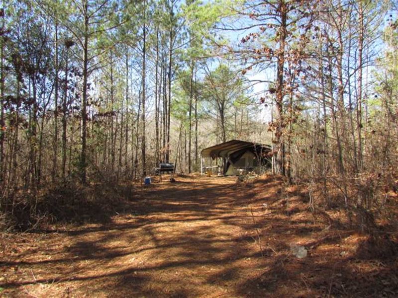 60 Acre Hunting Tract on Cotton : Coleman : Randolph County : Georgia