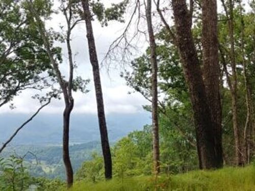 5.5 Acres Bordering Great Smoky : Bryson City : Swain County : North Carolina