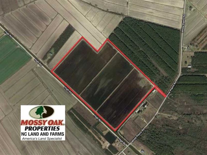 Under Contract, 72.5 Acres of Pr, Farm for Sale in North Carolina