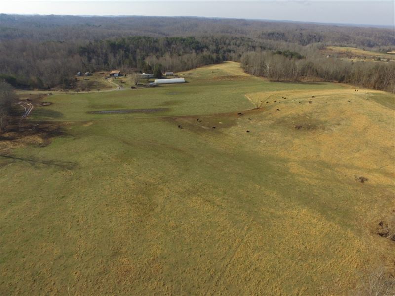 140 Acres in Metcalfe County, Ky, Farm for Sale in Kentucky, 144037