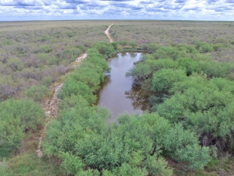 East Lincoln Ranch : Encinal : Webb County : Texas