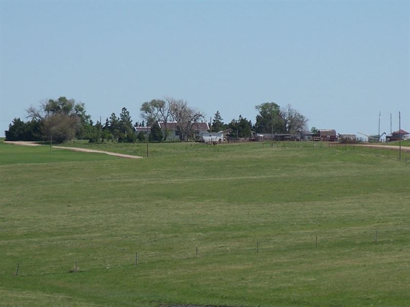 Gurley Home and Grass : Gurley : Cheyenne County : Nebraska