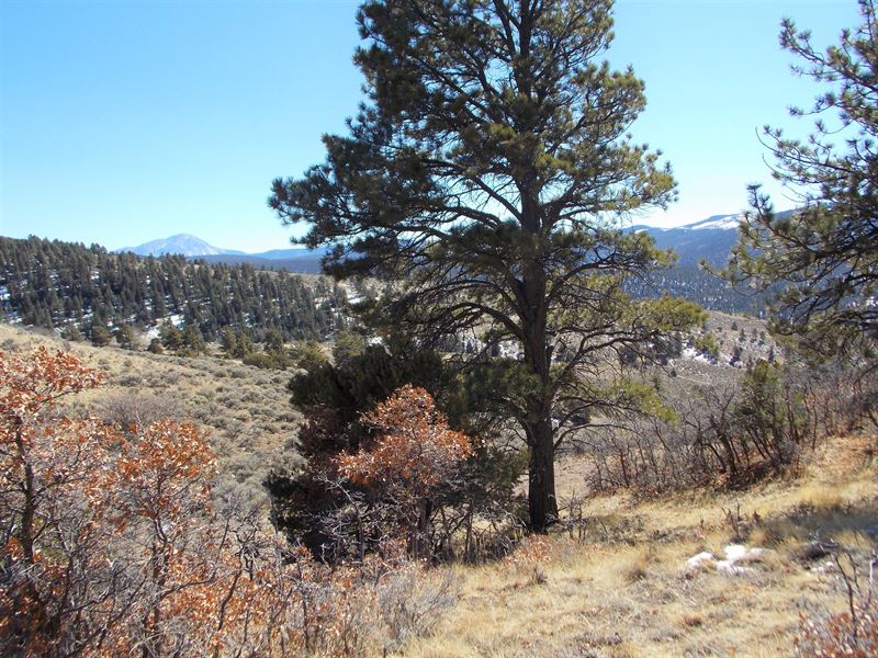 Lot 279 - Forbes Wagon Creek Ranch : Fort Garland : Costilla County : Colorado