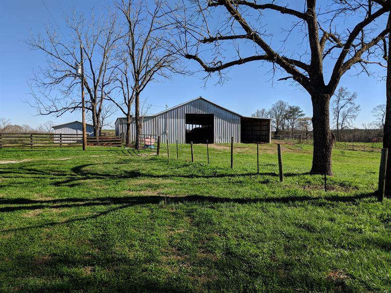 92+/- Ac Cattle Farm : Wadley : Clay County : Alabama