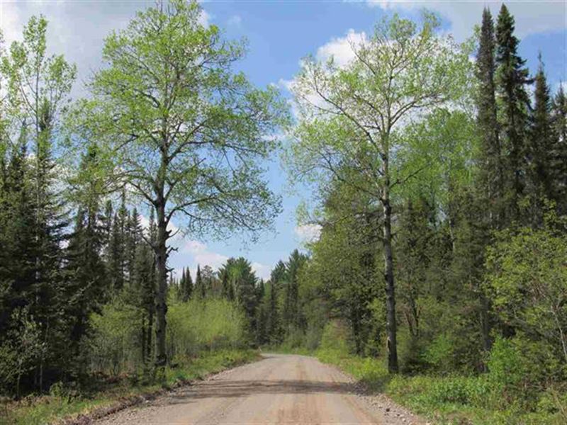 188.0 Acres with Creeks and River : Champion : Marquette County : Michigan