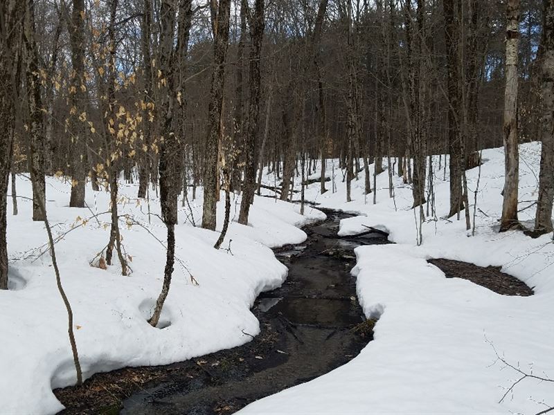 On Orwell Creek Adjoins State Land, Farm for Sale in New York, 144449