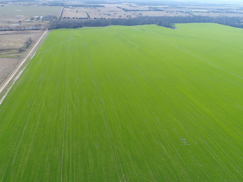 Large Row Crop Farm For Sale Farm For Sale In Paris Lamar County Texas 144471 Farmflip