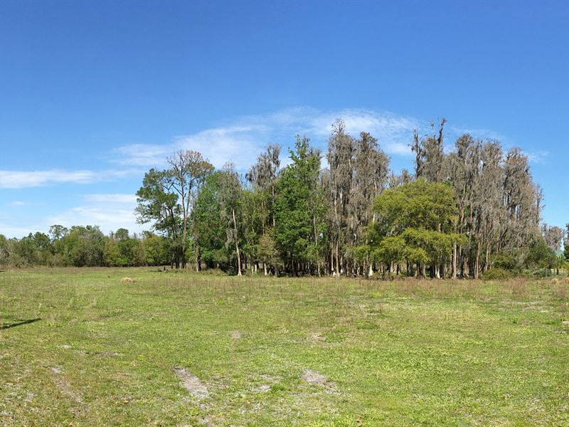 24 Acres Residential Homesites Farm for Sale in Lakeland, Polk County