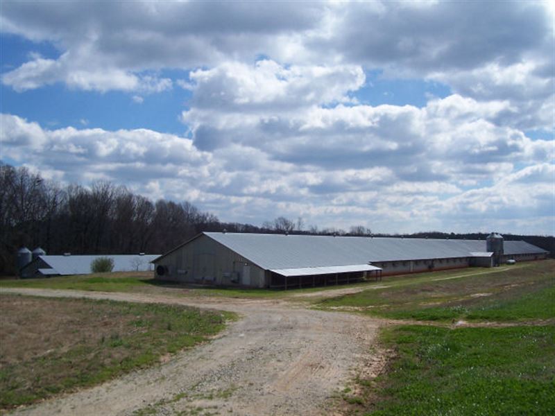 North Poultry Farm, Farm for Sale in 144554 FARMFLIP