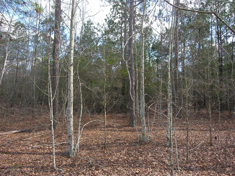 37.05 Acres ,Owner Financing, Farm for Sale in 144609 FARMFLIP