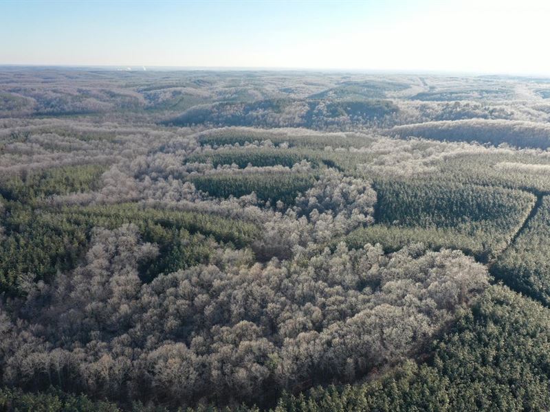 935 Acre Hunting Conservationist Dr : Eva : Benton County : Tennessee