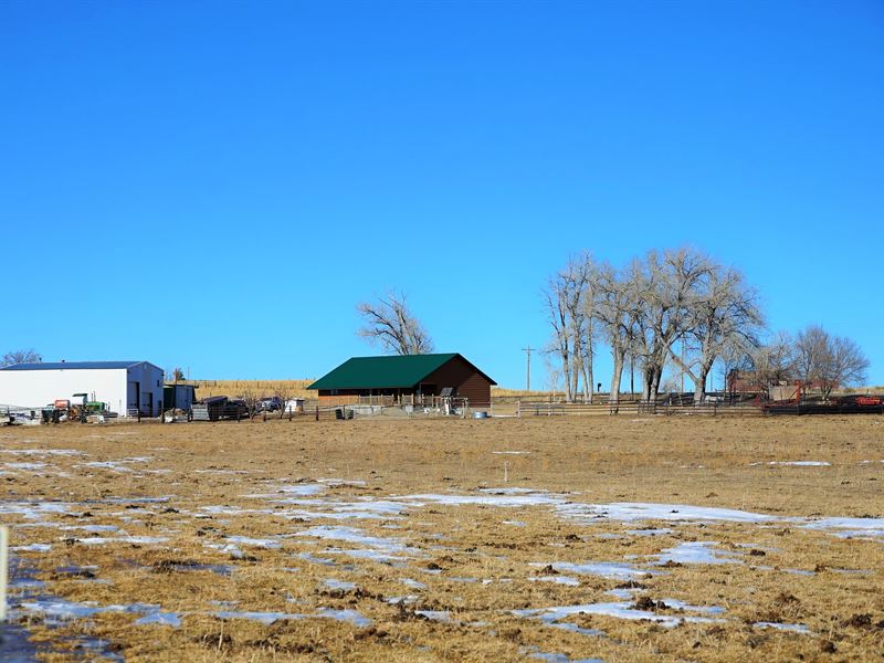 Salt Brush Country Home & Acrea : Riverton : Fremont County : Wyoming