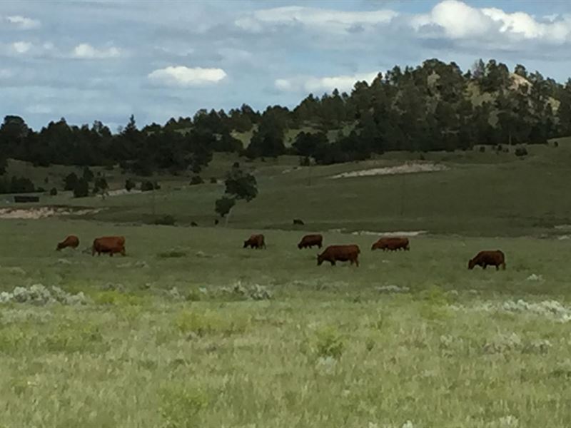 Hat Creek Breaks Ranch : Lusk : Niobrara County : Wyoming