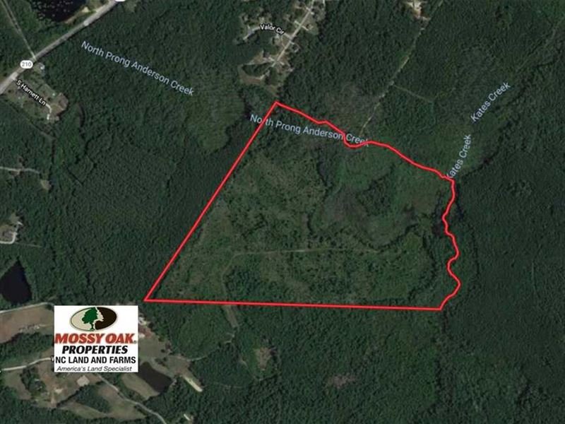 Under Contract, 87 Acres of Hunti : Bunnlevel : Harnett County : North Carolina