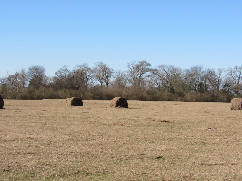 70 Acres Pastureland Farm for Sale in Tylertown, Walthall County, Mississippi 144978 FARMFLIP