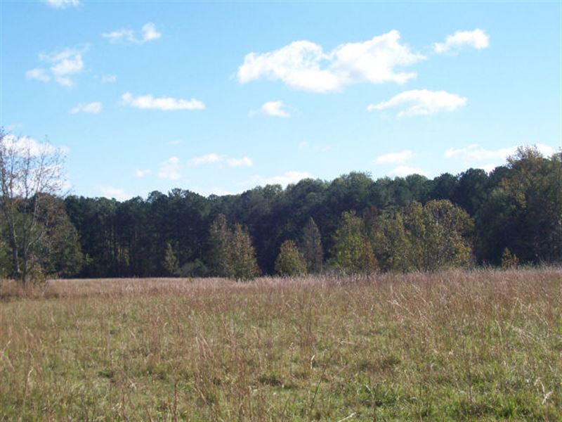 Paulding Co, Ga Farmland Acreage Farm for Sale in Rockmart, Paulding