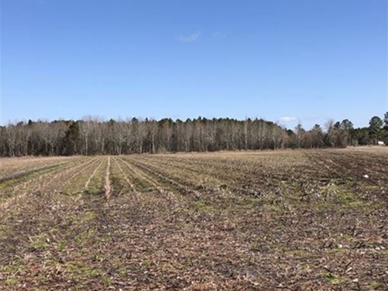 Farmland For Sale Beaufort County Farm for Sale in Beaufort
