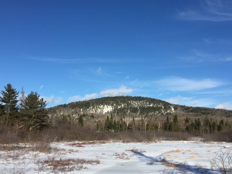 Fletcher Hill Forest : New Portland : Somerset County : Maine