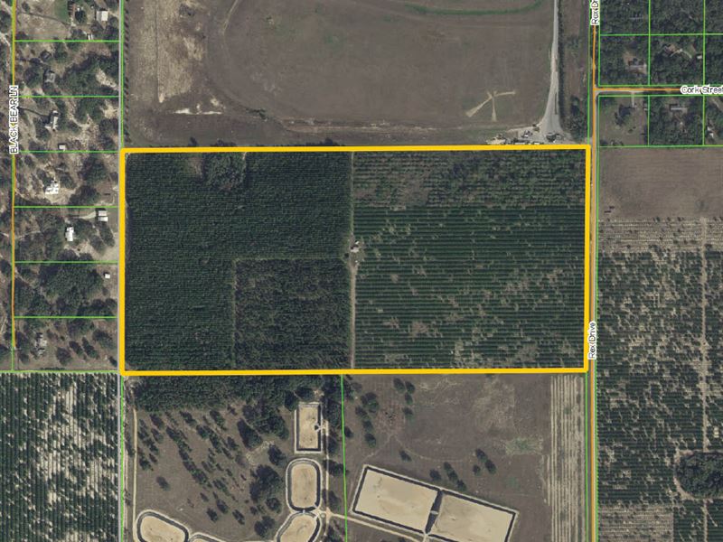 84.6 Acres Near Hamlin West : Winter Garden : Orange County : Florida