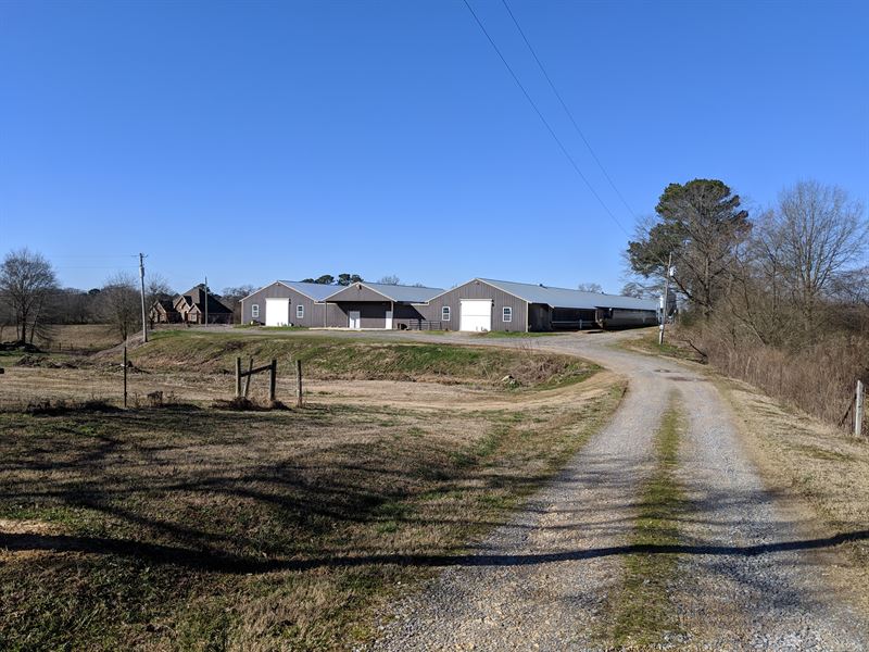Circle B Farm Farm for Sale in Holly Pond, Cullman County, Alabama