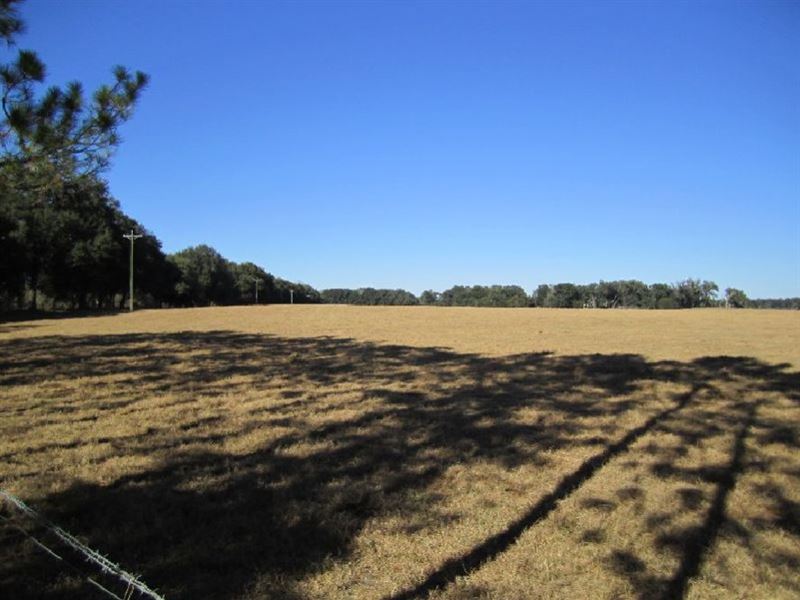 Watson Farm Farm for Sale in Trenton, Gilchrist County, Florida