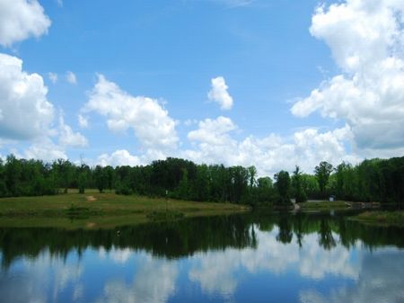 203 Acre Tyger River Tract : Woodruff : Spartanburg County : South Carolina