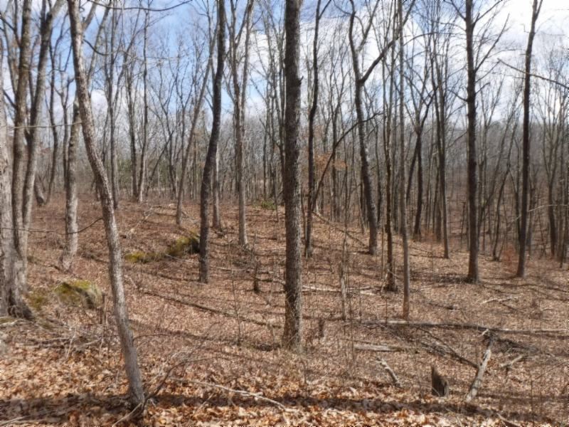 8.71 Acres, Cave, Rock Formations : Crawford : Overton County : Tennessee