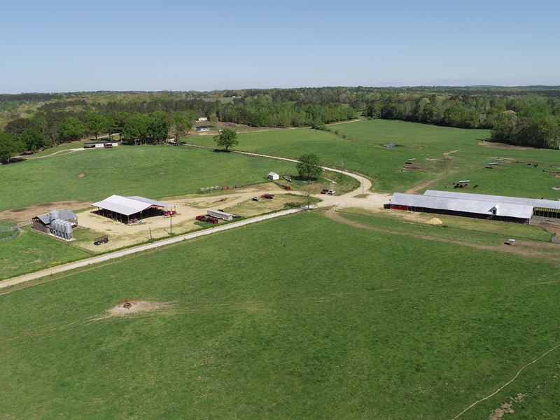 Creekside Farm-Cattle Farm in Carro : Bowdon : Carroll County : Georgia