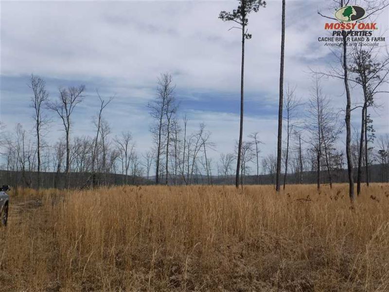 80 Acres of Recreational Land in : Crabtree : Van Buren County : Arkansas