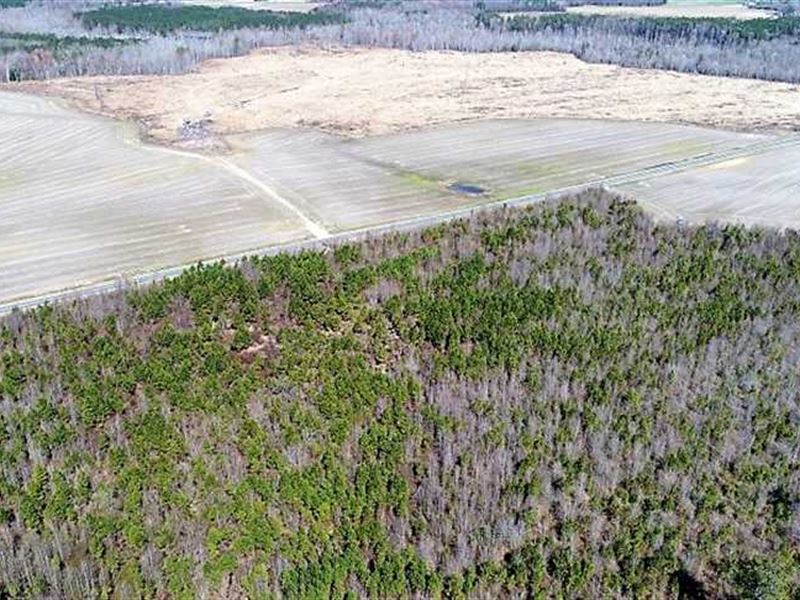 204 Acres of Recreational Farm And : Walstonburg : Greene County : North Carolina