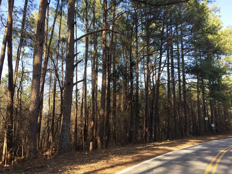 Tract 1527 : Lexington : Henderson County : Tennessee